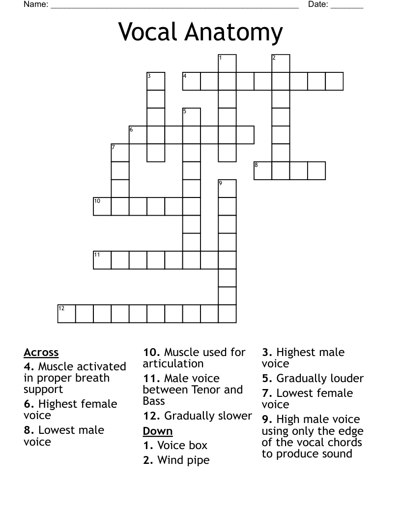 Vocal Anatomy Crossword