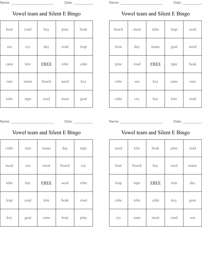 Vowel team and Silent E Bingo