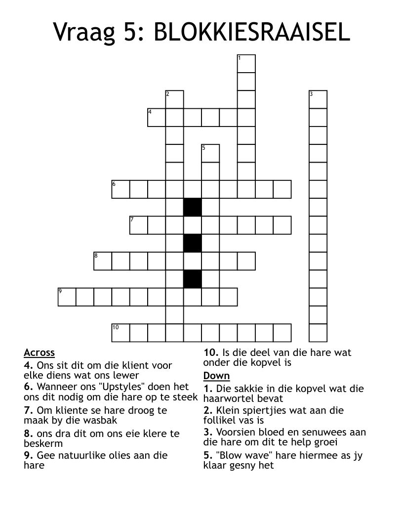 Vraag 5:  BLOKKIESRAAISEL Crossword