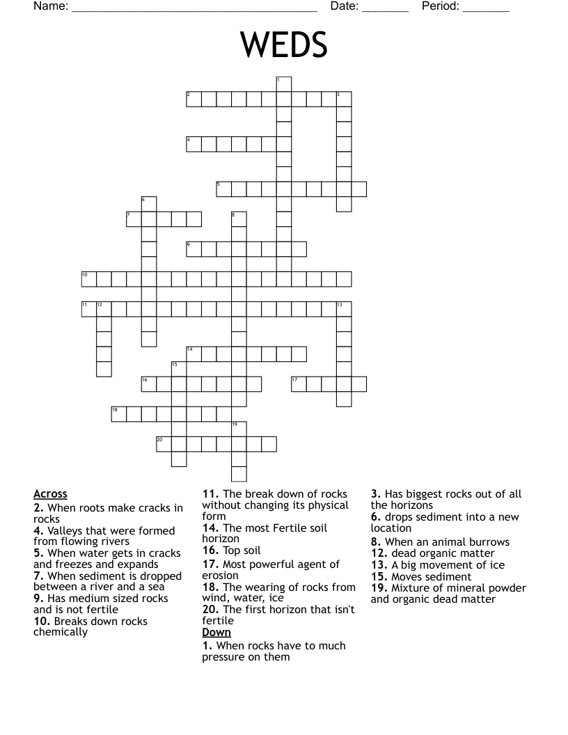 WEDS Crossword