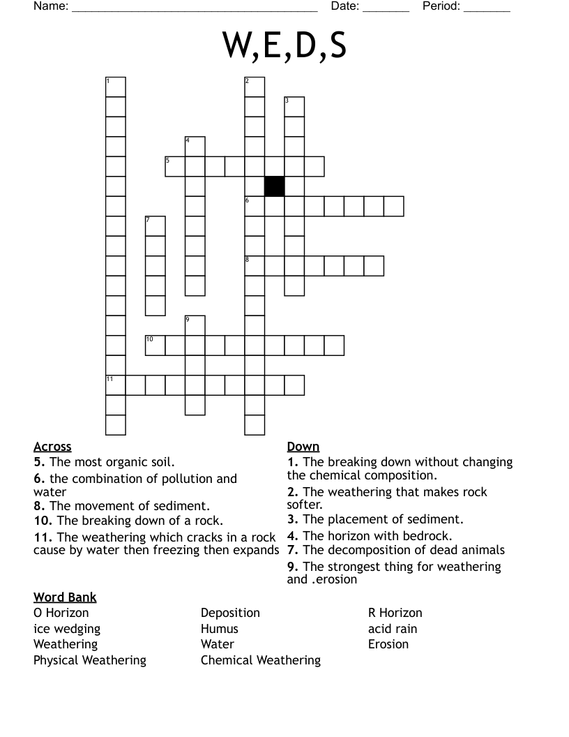 W,E,D,S Crossword