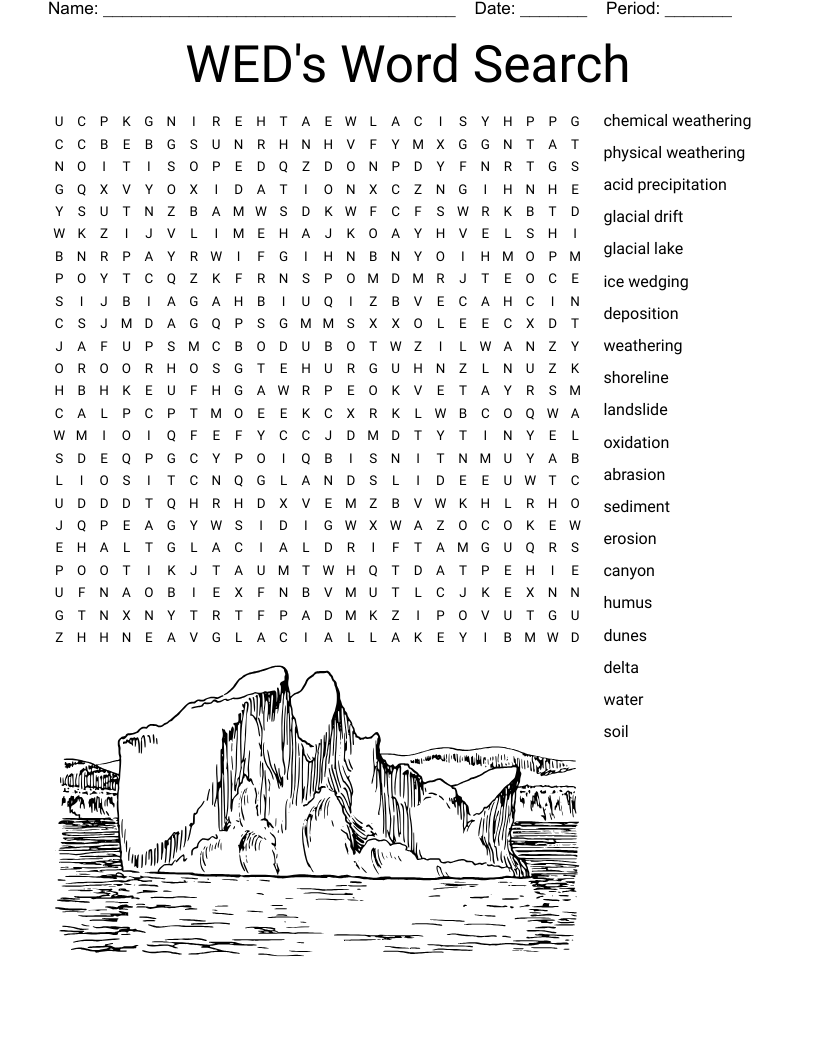 WED's Word Search