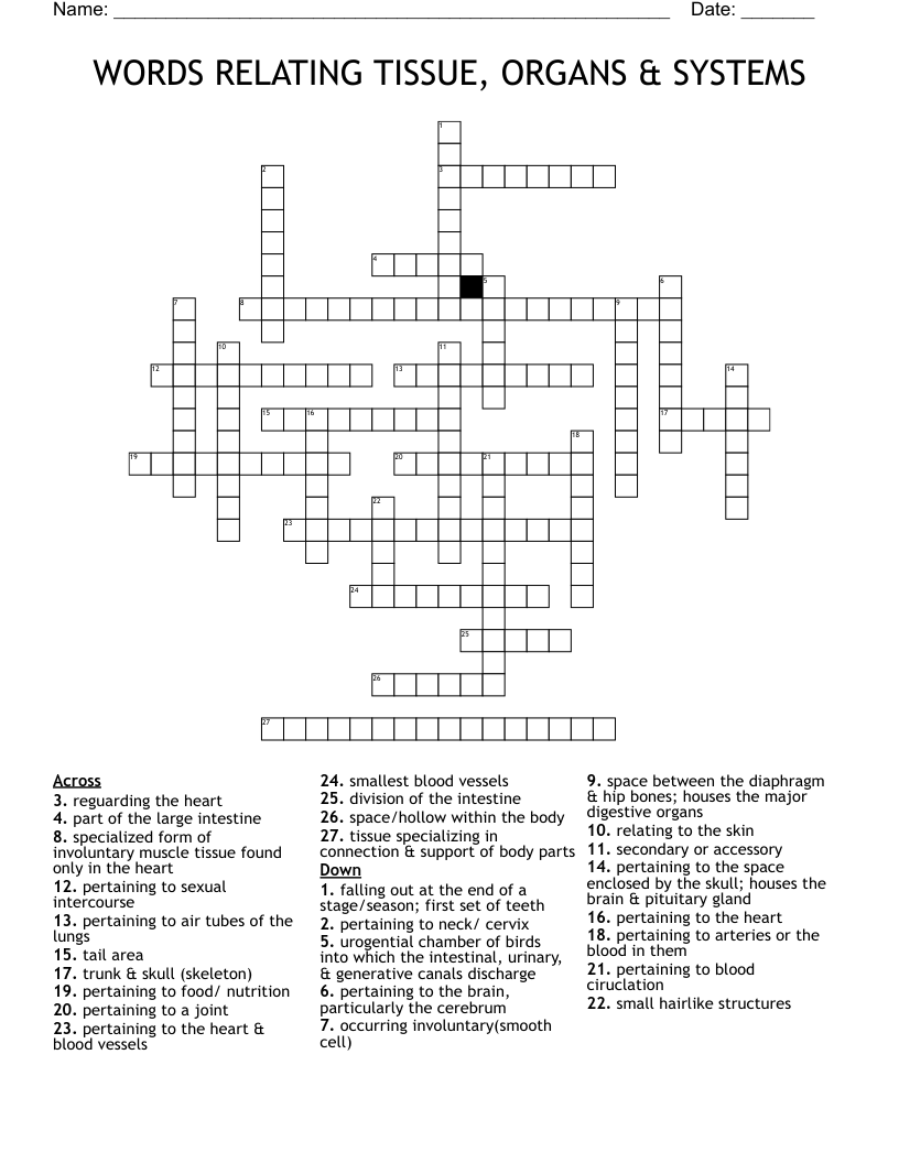 WORDS RELATING TISSUE, ORGANS & SYSTEMS Crossword
