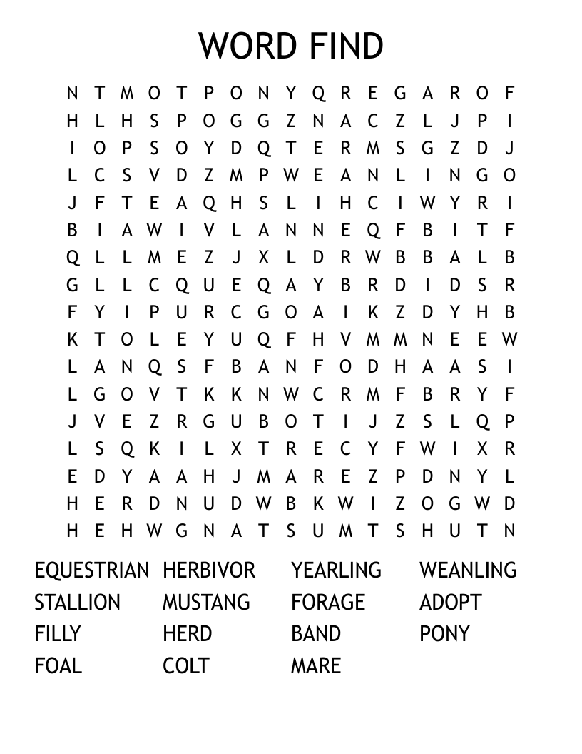WORD FIND  Word Search