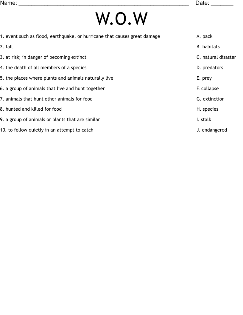 W.O.W Worksheet