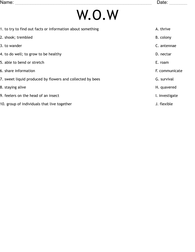 W.O.W Worksheet