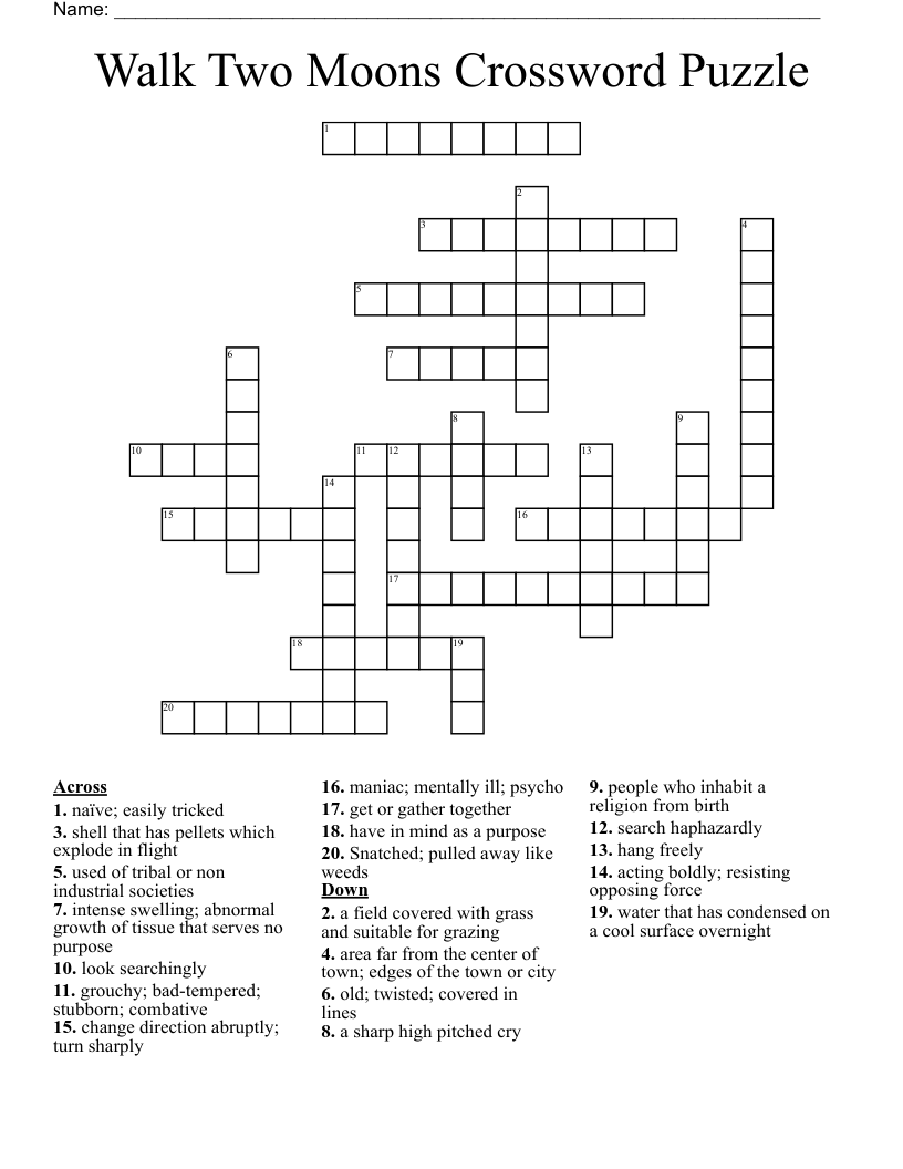 Walk Two Moons Crossword Puzzle