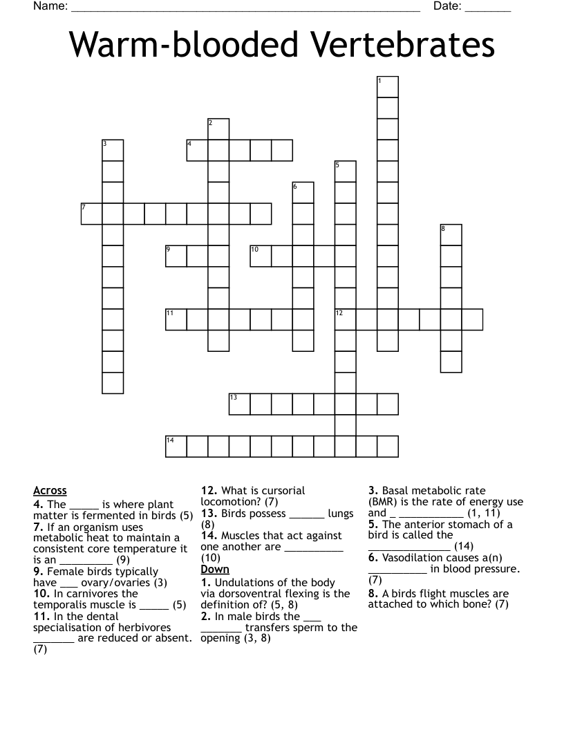 Warm-blooded Vertebrates Crossword