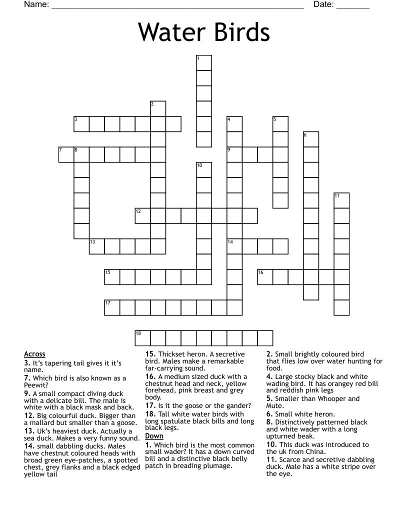 Water Birds Crossword