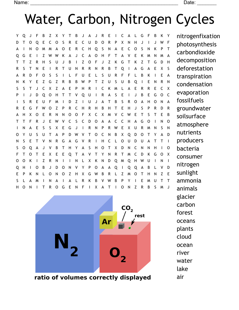 Water, Carbon, Nitrogen Cycles Word Search