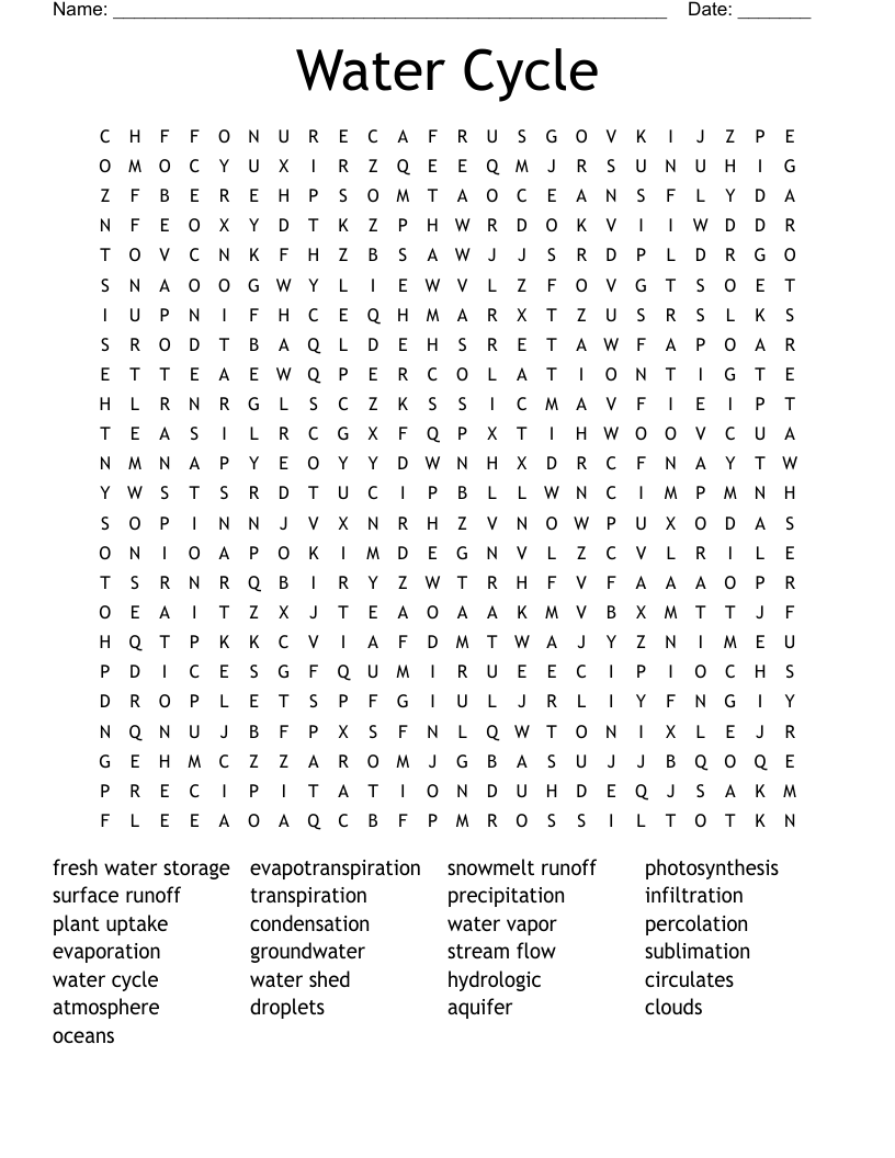Water Cycle Word Search