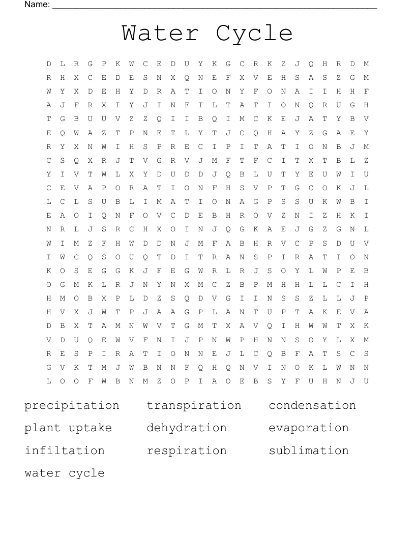 Water Cycle Word Search