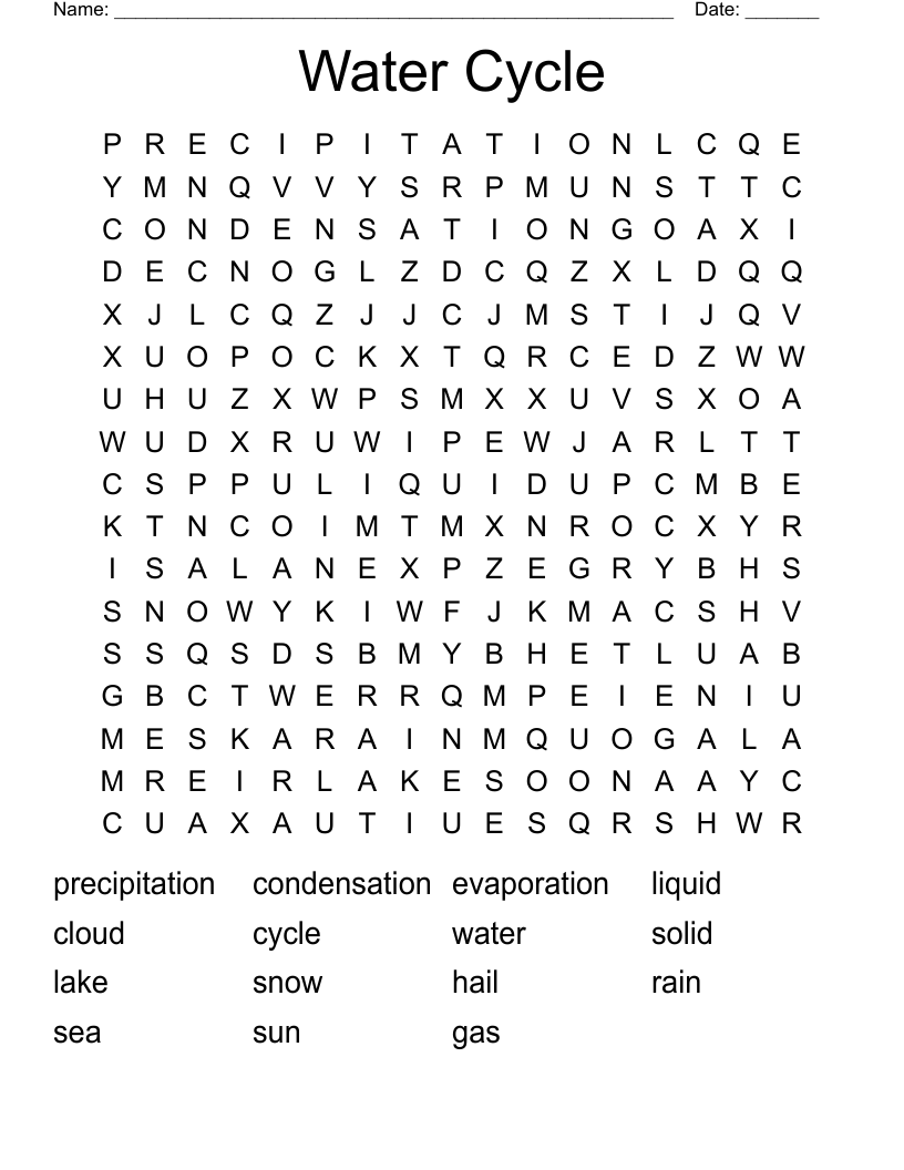 Water Cycle Word Search