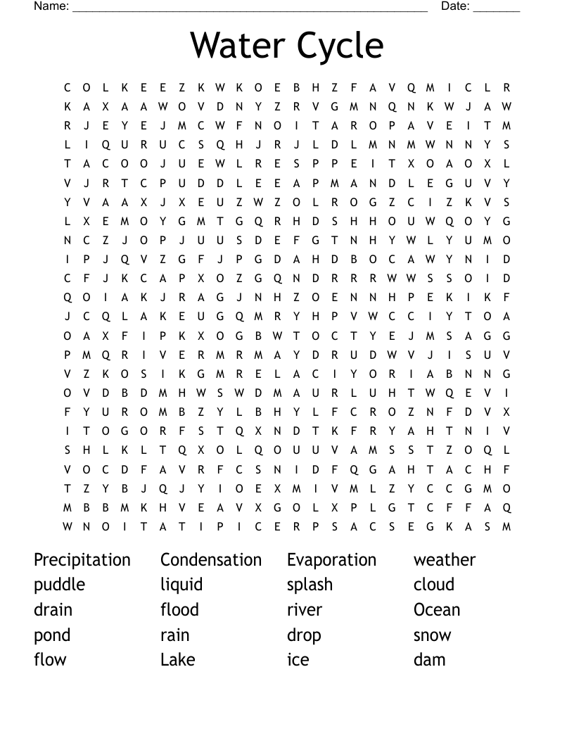 Water Cycle Word Search