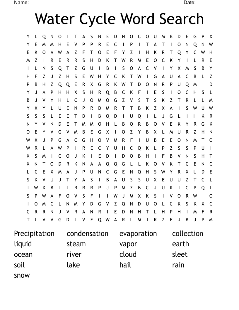 Water Cycle Word Search