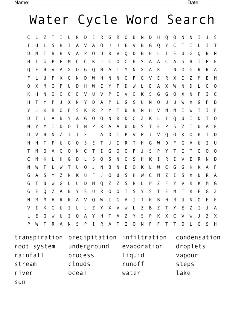 Water Cycle Word Search 