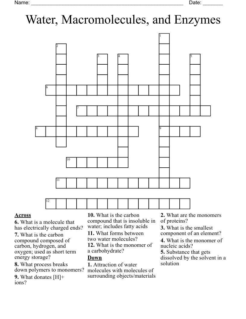 Water, Macromolecules, and Enzymes Crossword