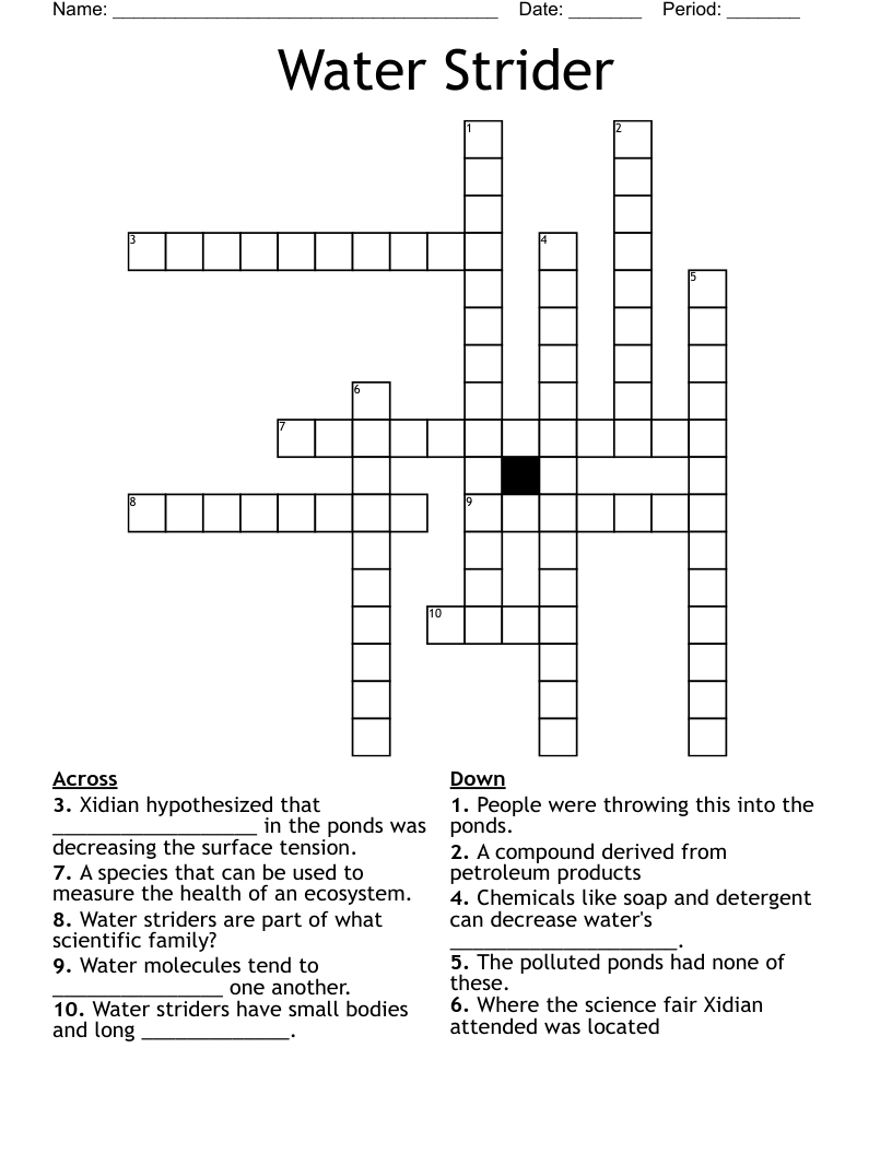 Water Strider Crossword
