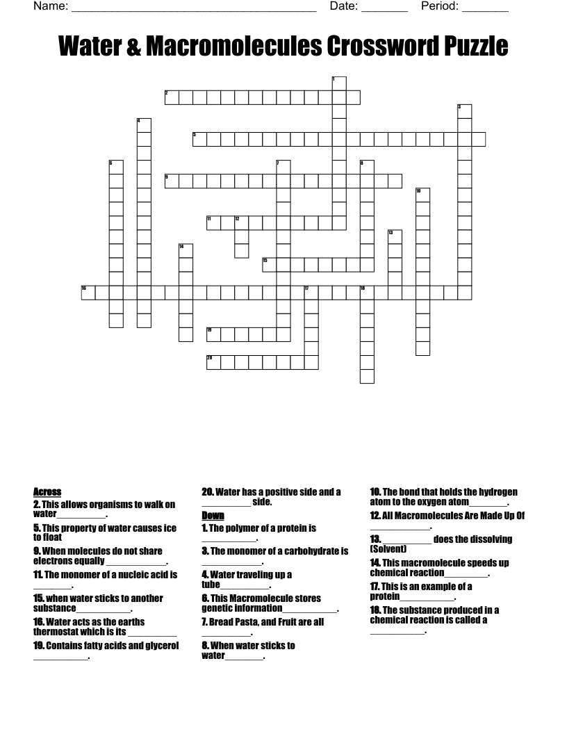 Water & Macromolecules Crossword Puzzle