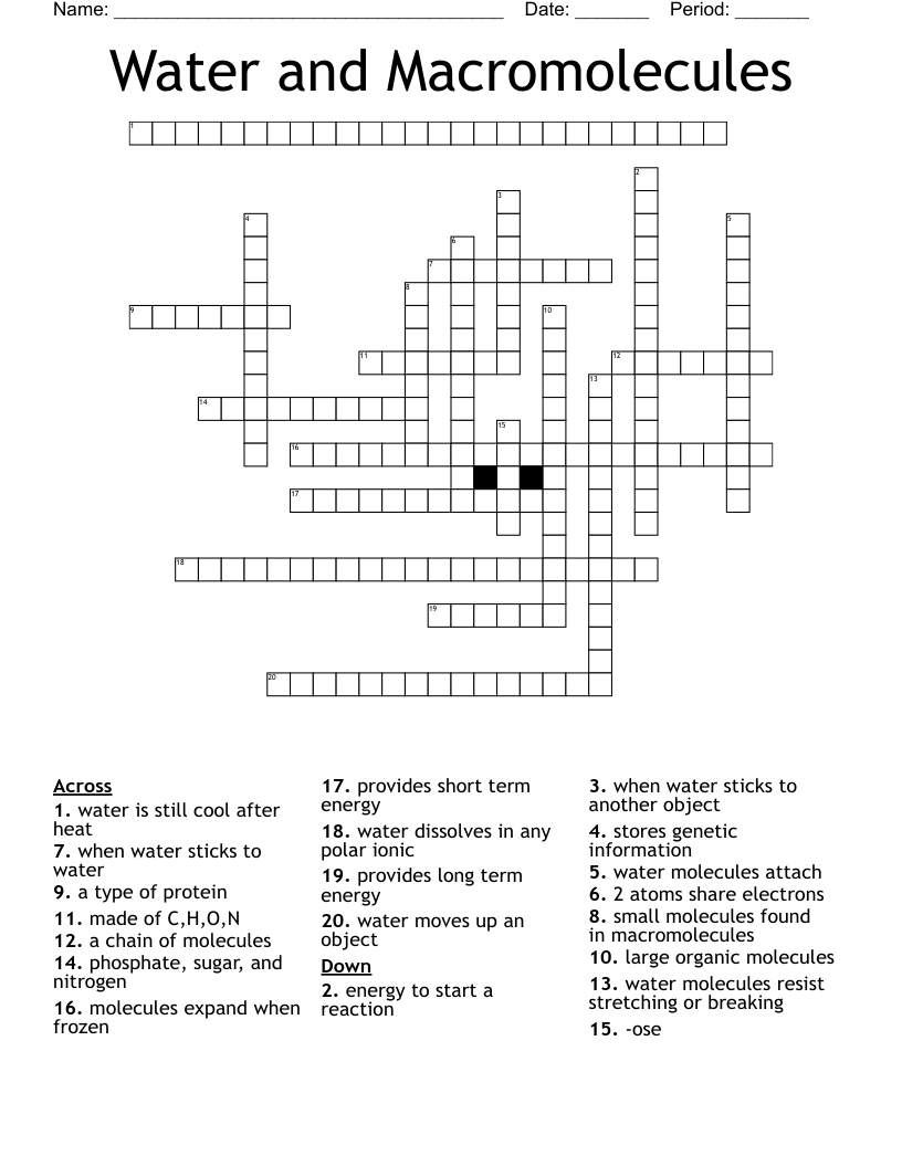 Water and Macromolecules Crossword