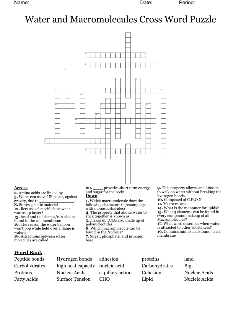 Water and Macromolecules Cross Word Puzzle