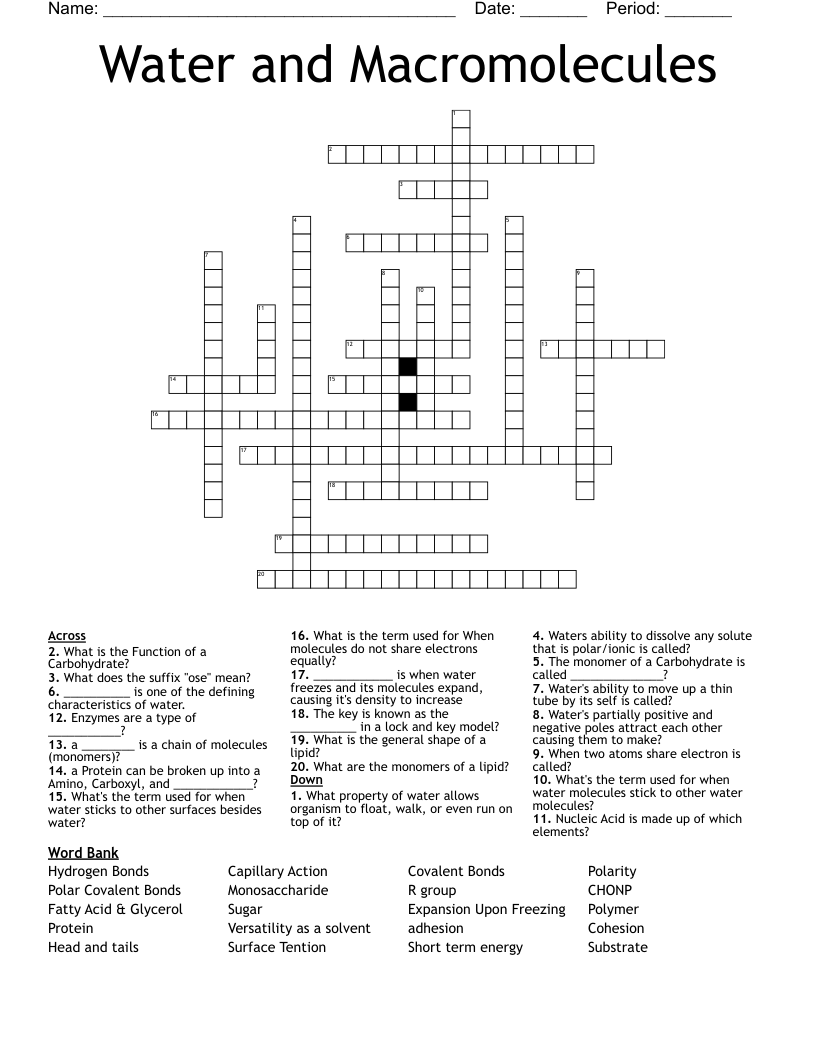Water and Macromolecules  Crossword