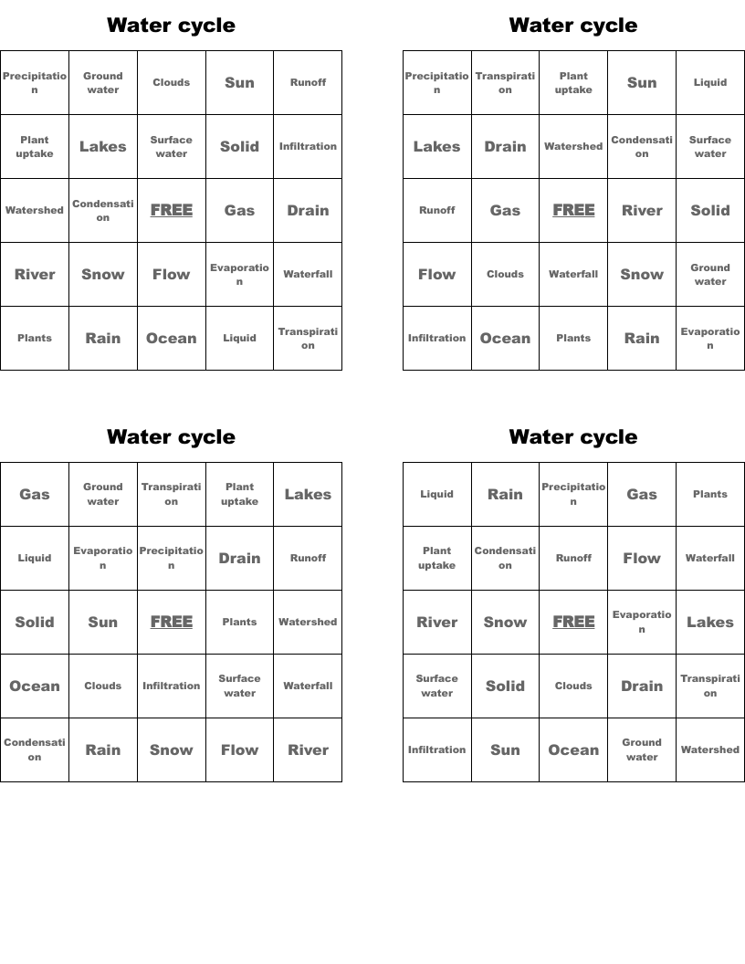 Water cycle  Bingo Cards