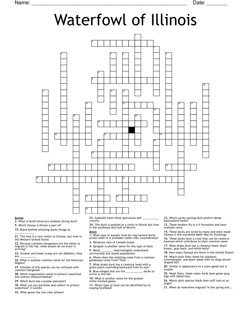 Waterfowl of Illinois Crossword