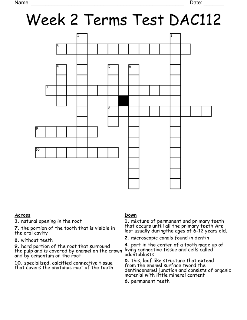 Week 2 Terms Test DAC112 Crossword