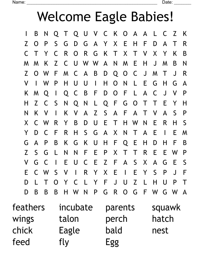 Welcome Eagle Babies! Word Search