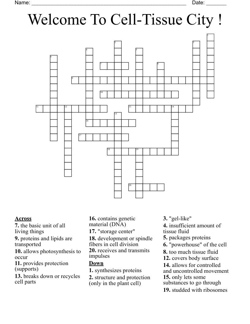Welcome To Cell-Tissue City ! Crossword