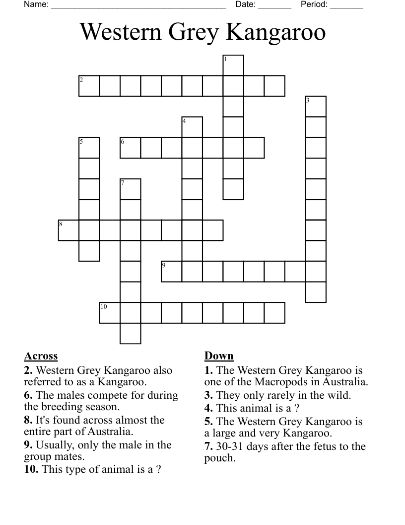 Western Grey Kangaroo Crossword