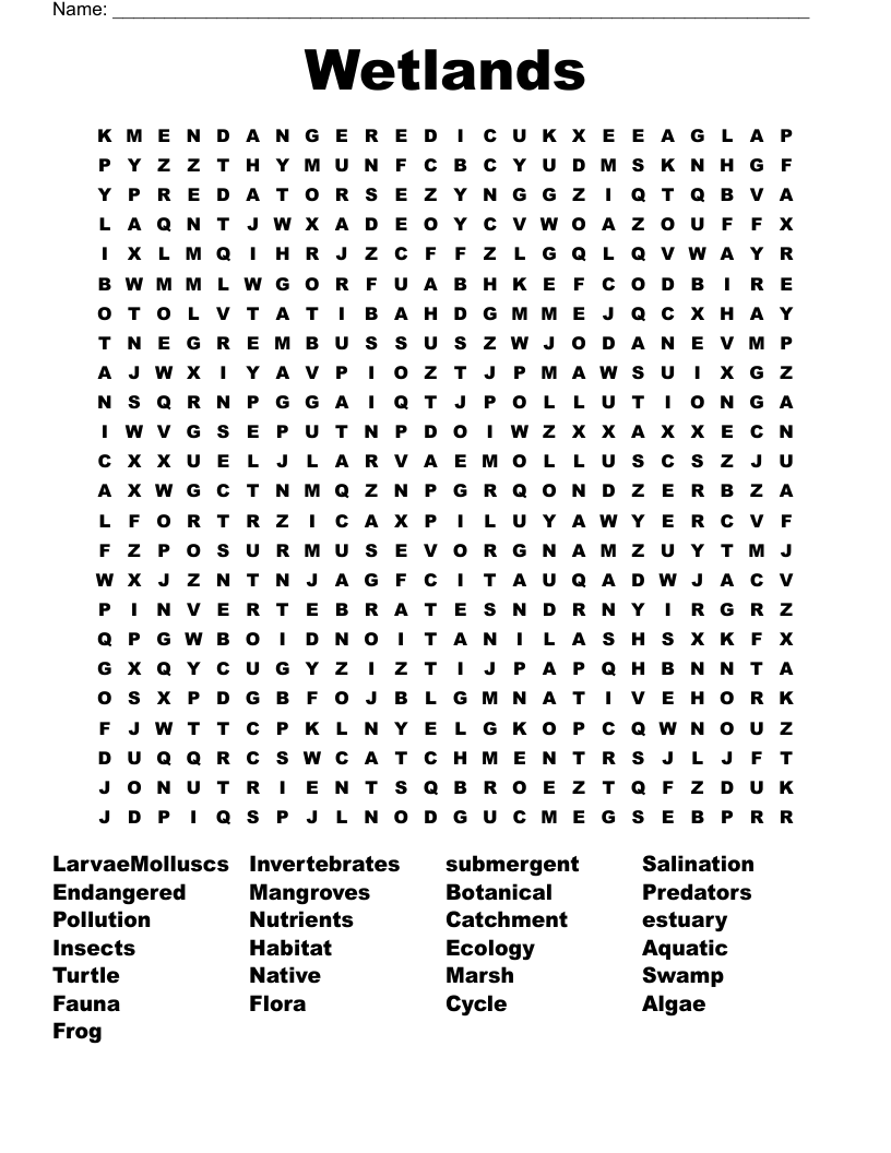 Wetlands Word Search
