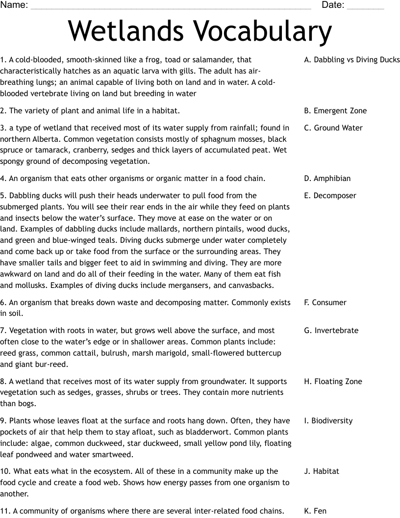 Wetlands Vocabulary Worksheet