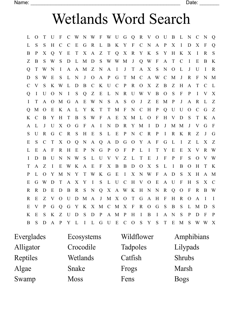 Wetlands Word Search
