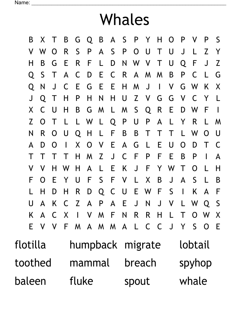 Whales Word Search
