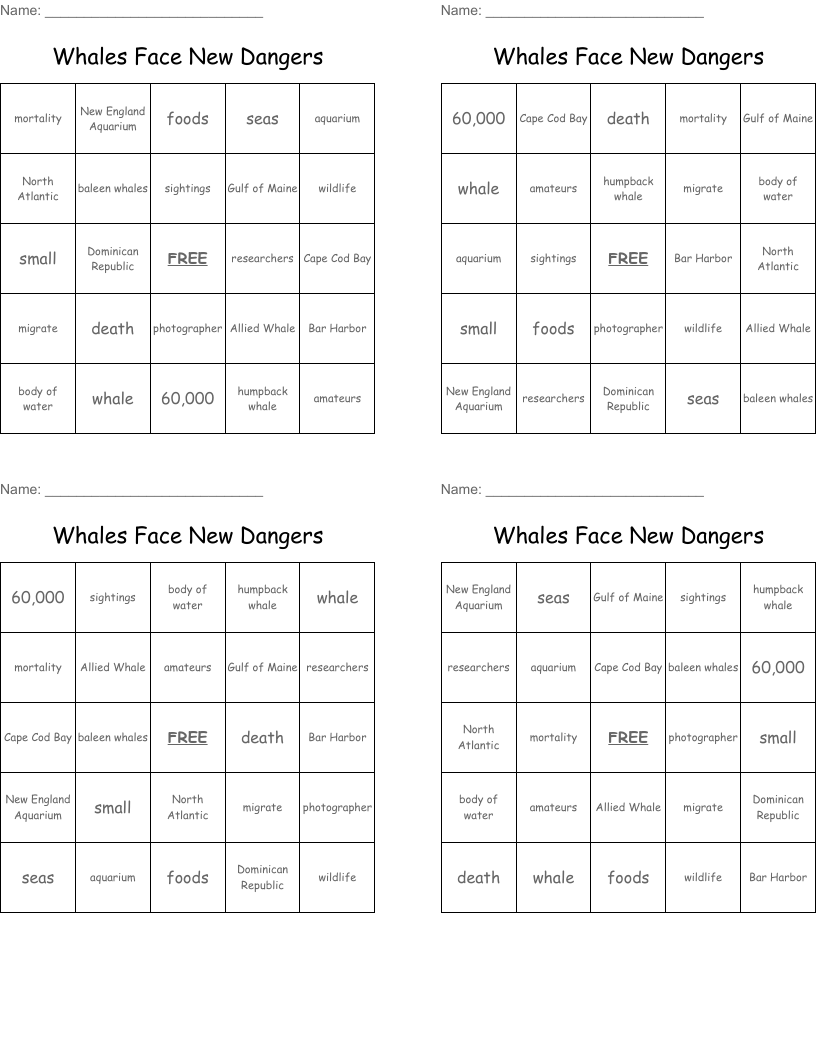 Whales Face New Dangers Bingo Cards
