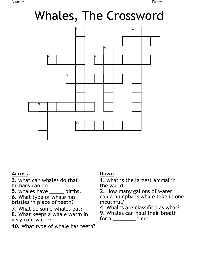 Whales, The Crossword