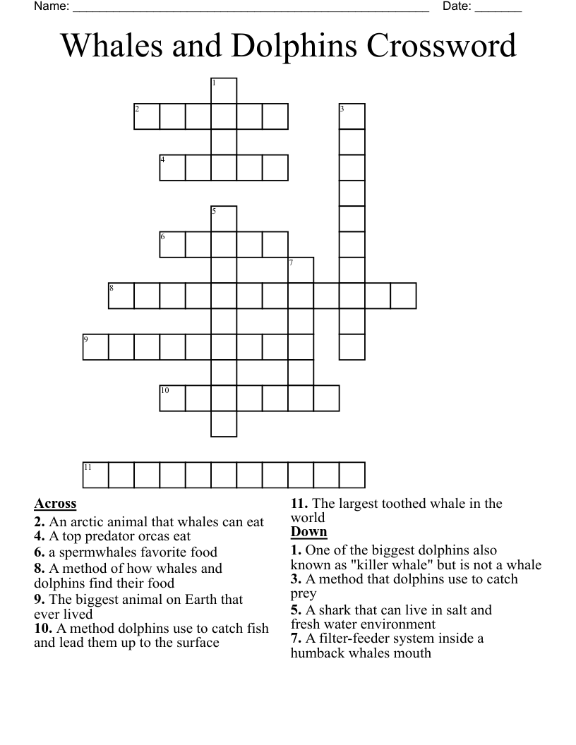 Whales and Dolphins Crossword