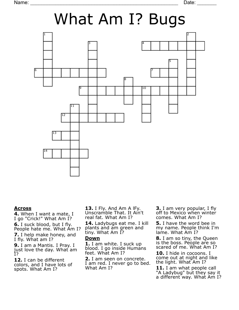 What Am I? Bugs Crossword