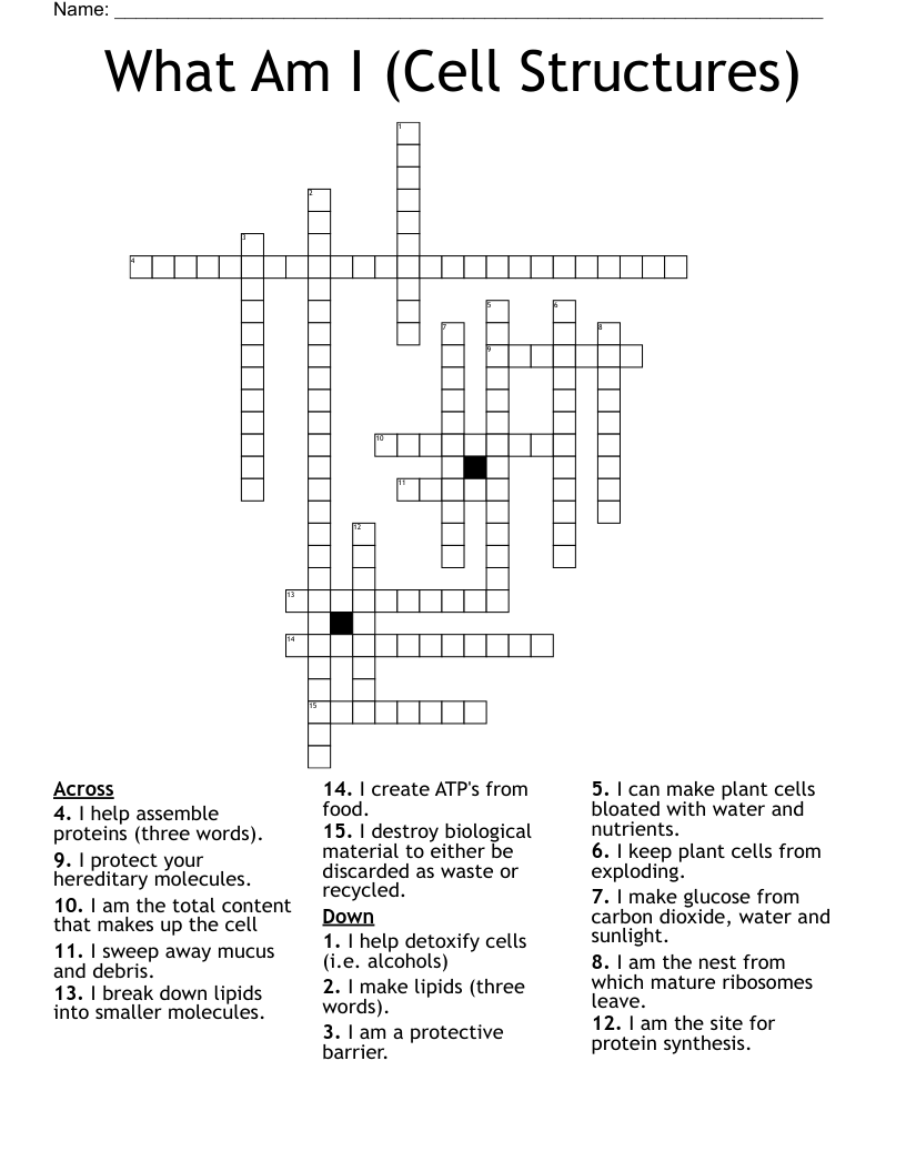 What Am I (Cell Structures) Crossword