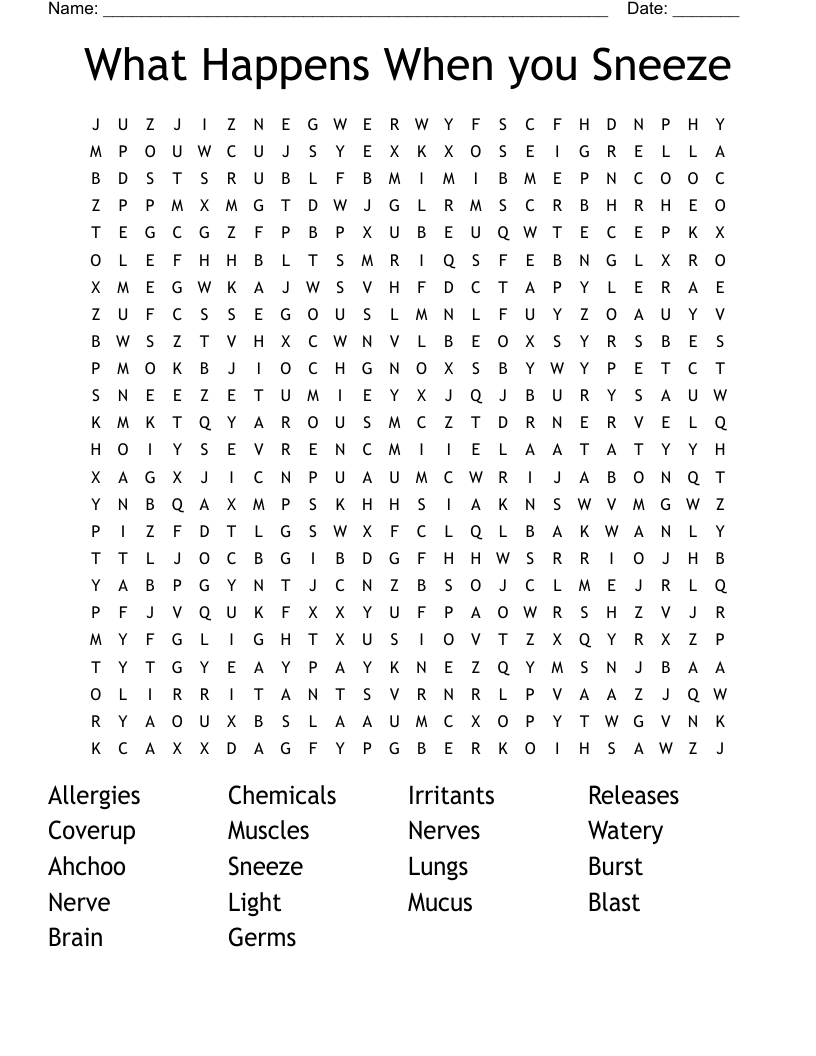 What Happens When you Sneeze Word Search