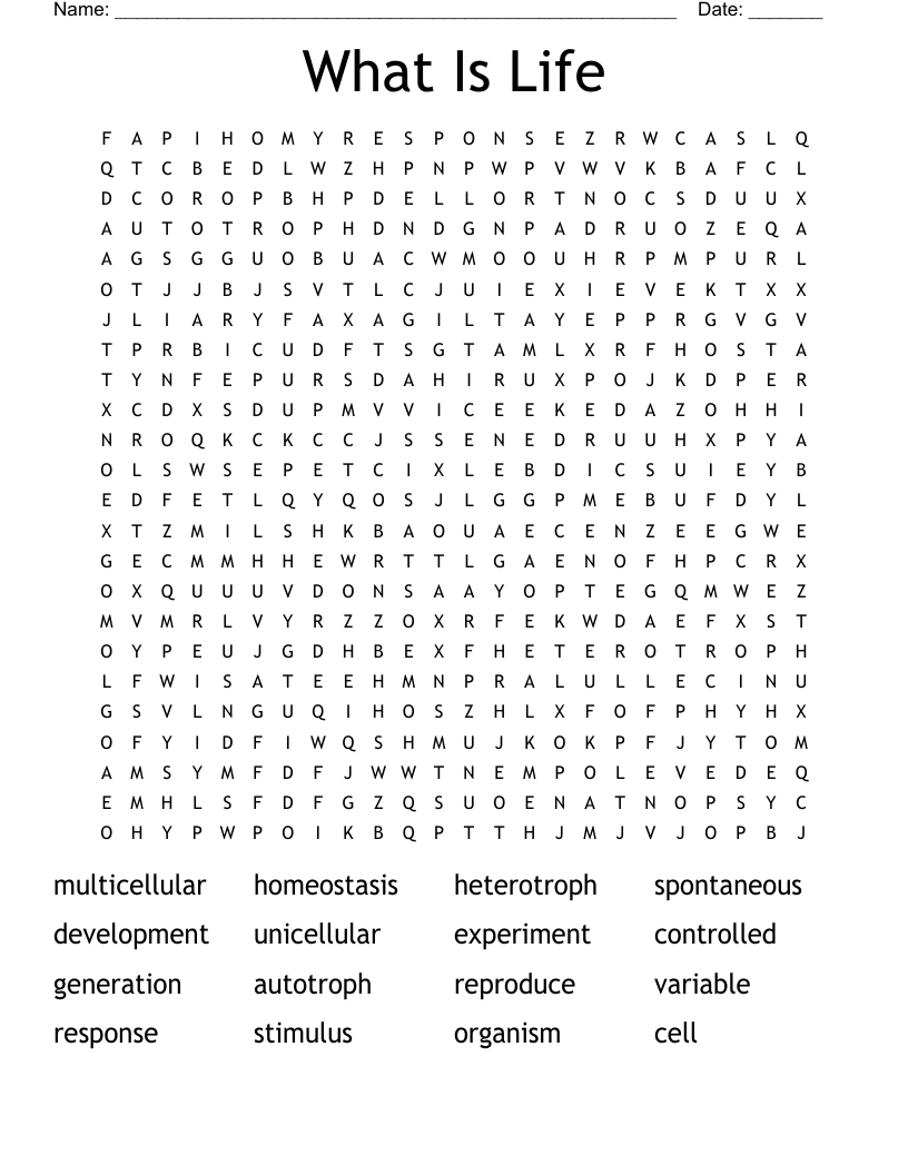 What Is Life Word Search