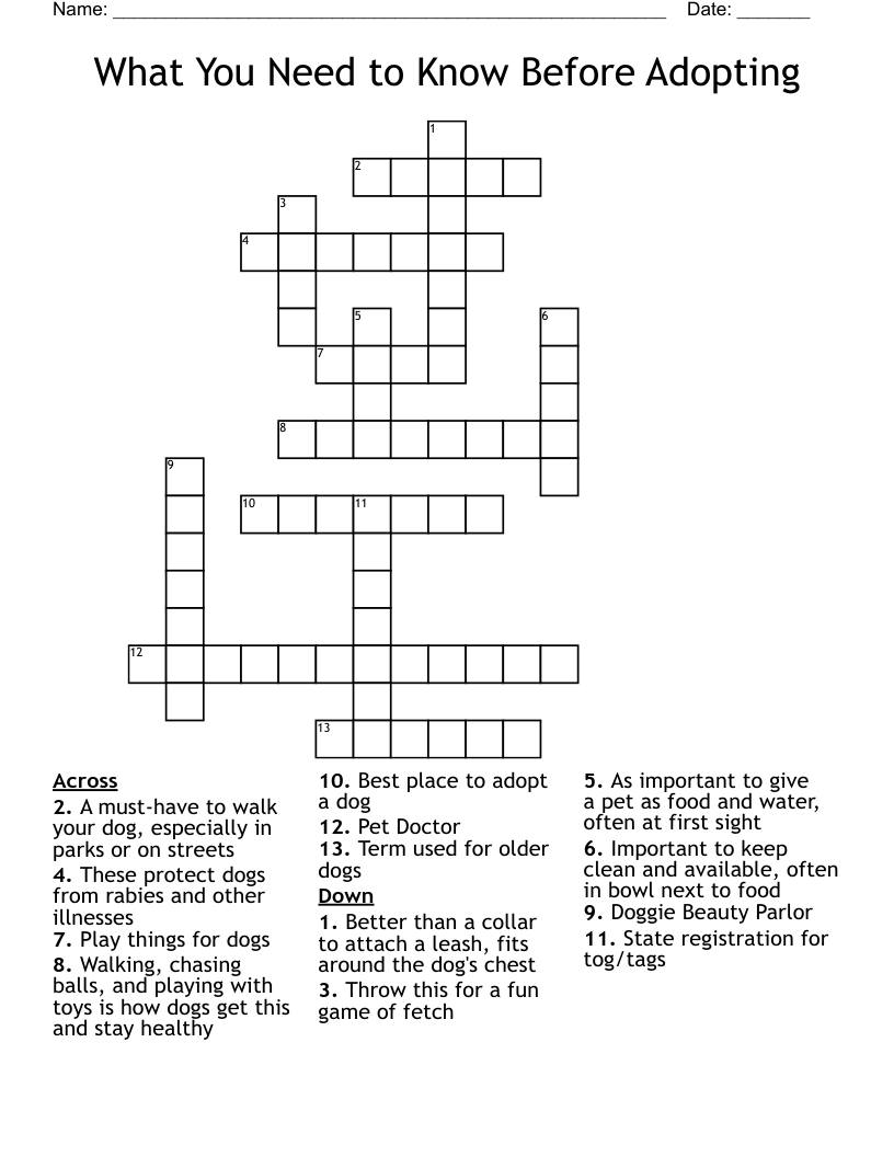 What You Need to Know Before Adopting Crossword