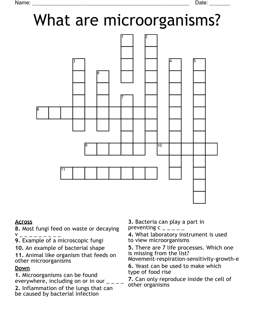 What are microorganisms? Crossword