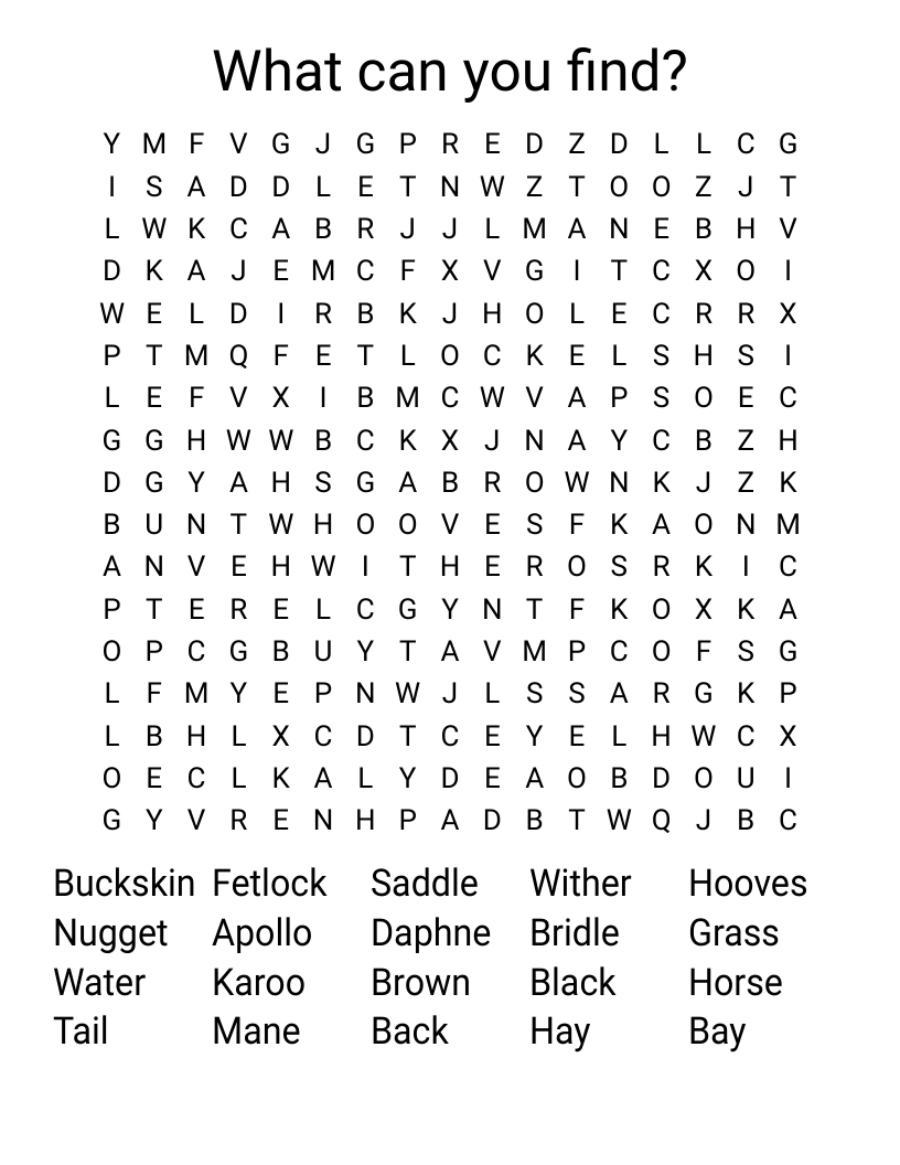 What can you find? Word Search