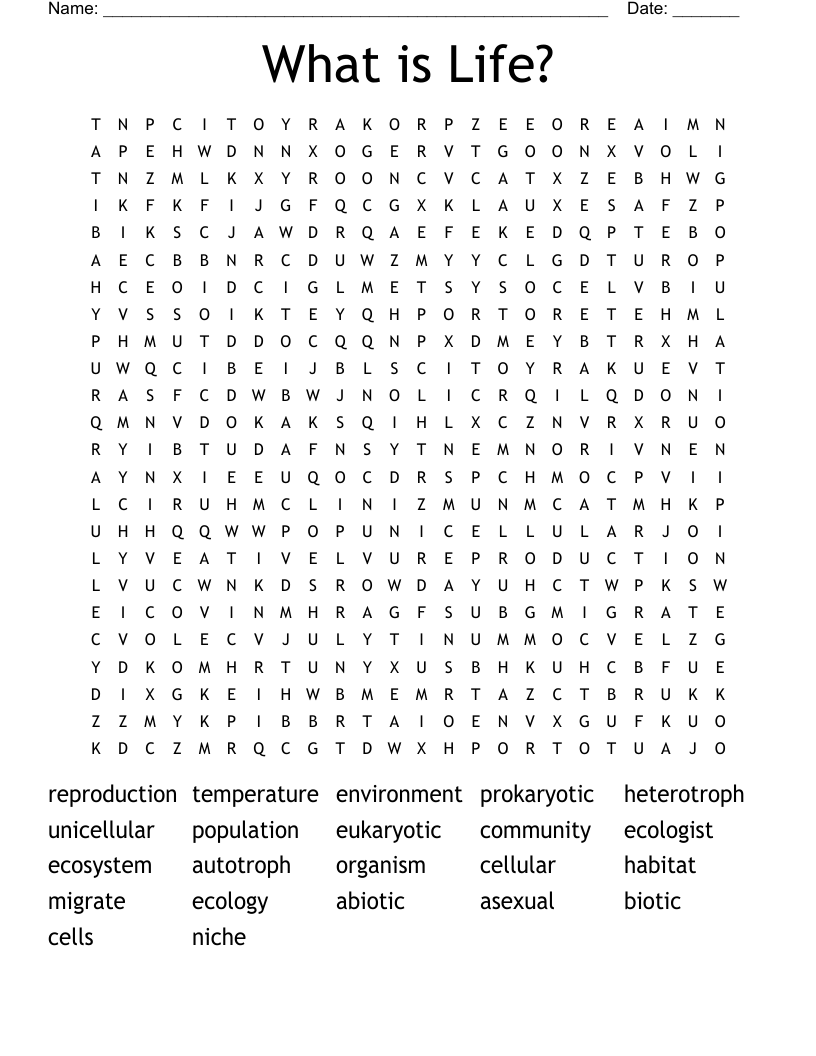 What is Life? Word Search