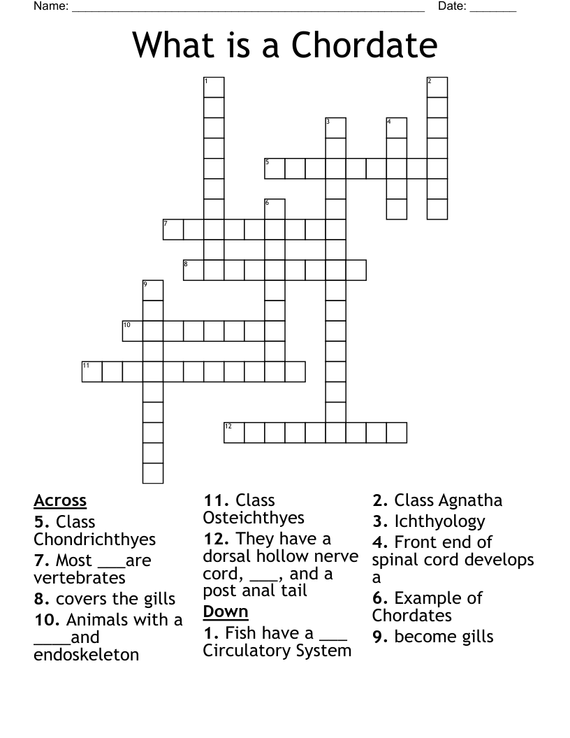 What is a Chordate Crossword