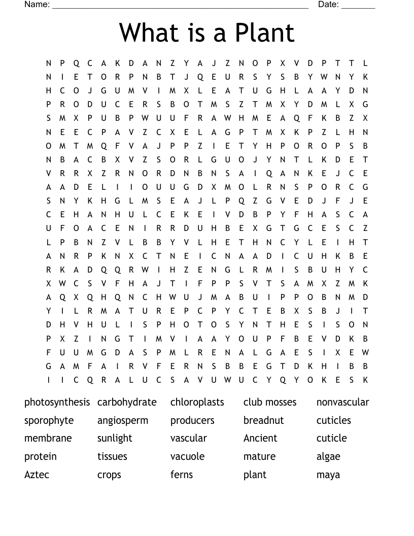 What is a Plant Word Search