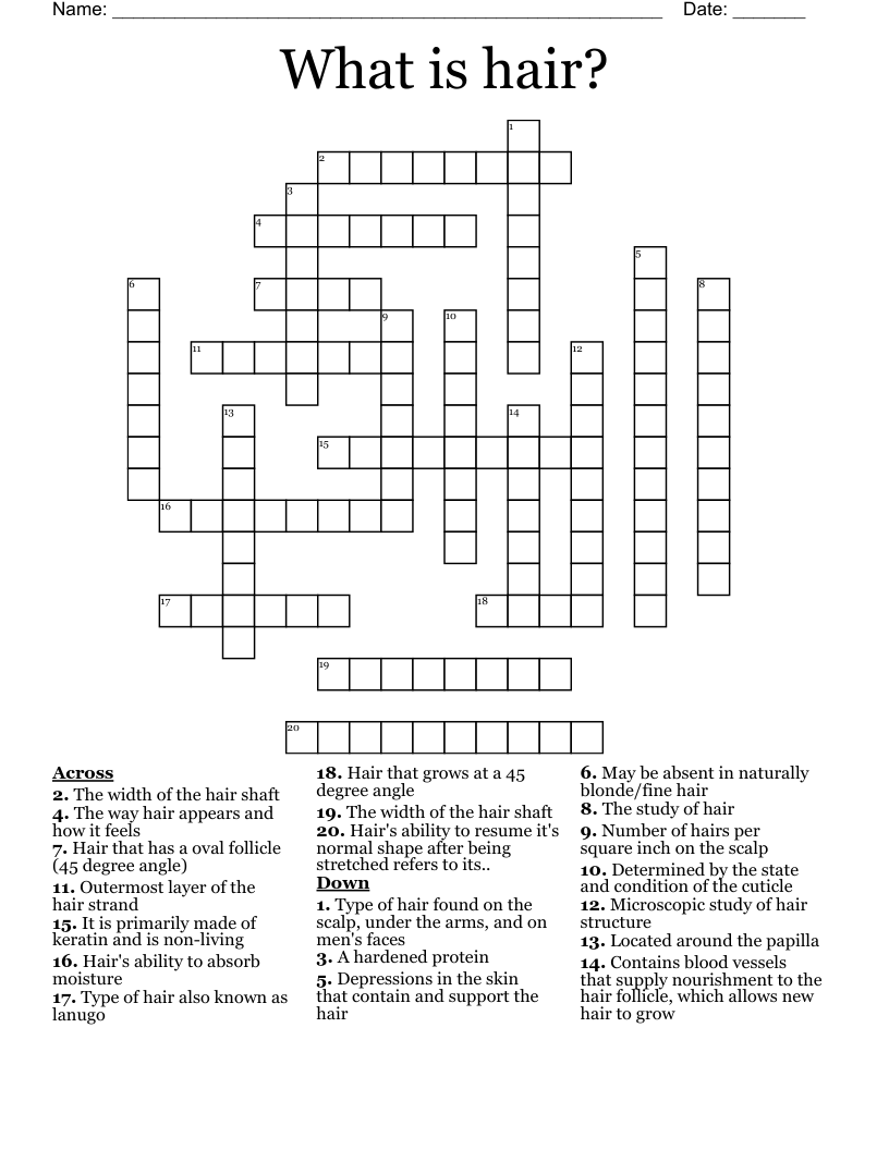 What is hair? Crossword